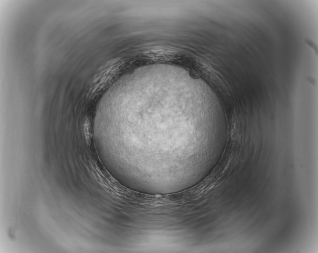 X0000102501108200808151514