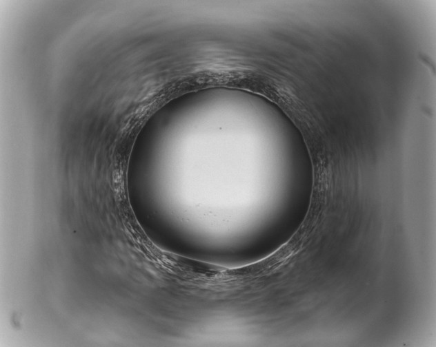 X0000102501109200808151514