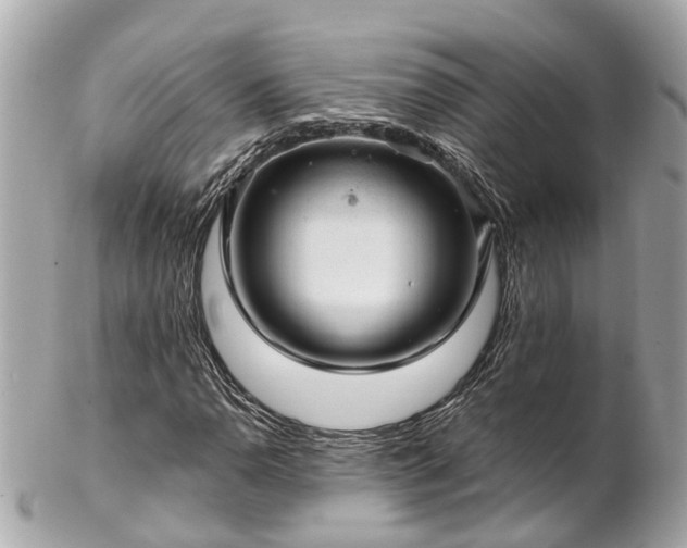 X0000102501110200808151514