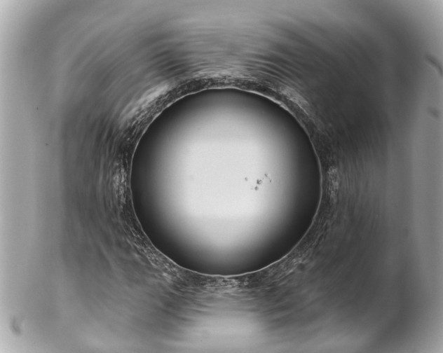 X0000102501111200808151514