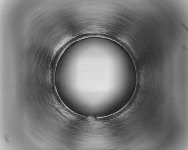 X0000102501114200808151514