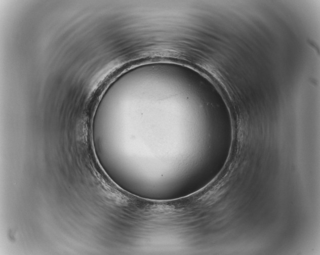 X0000102501115200808151514