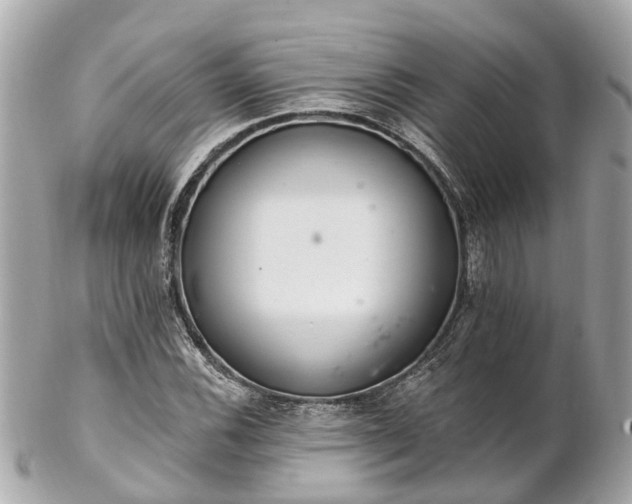 X0000102501116200808151514