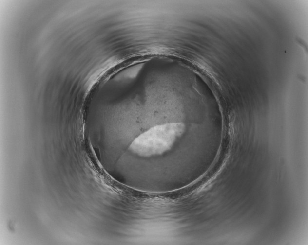 X0000102501117200808151514