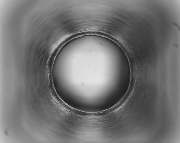 X0000102501118200808151514