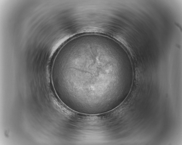 X0000102501120200808151514