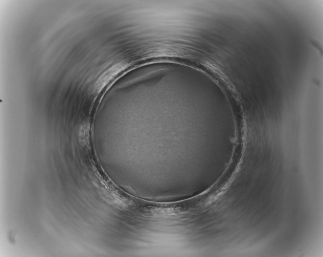 X0000102501121200808151514