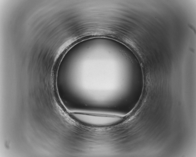 X0000102501122200808151514