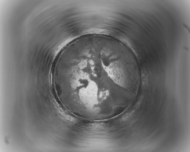 X0000102501125200808151514