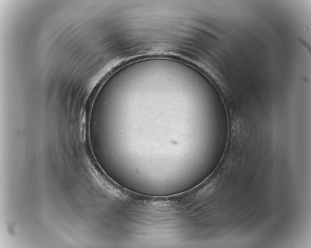 X0000102501126200808151514