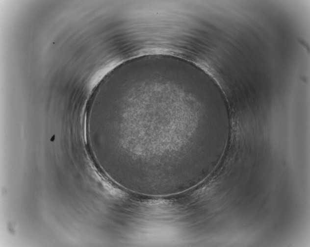 X0000102501127200808151514