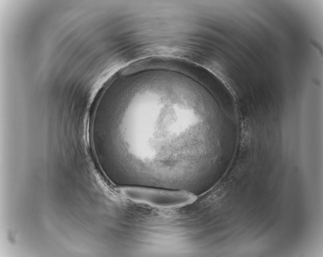 X0000102501128200808151514