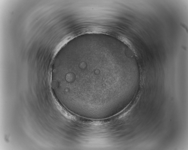 X0000102501130200808151514