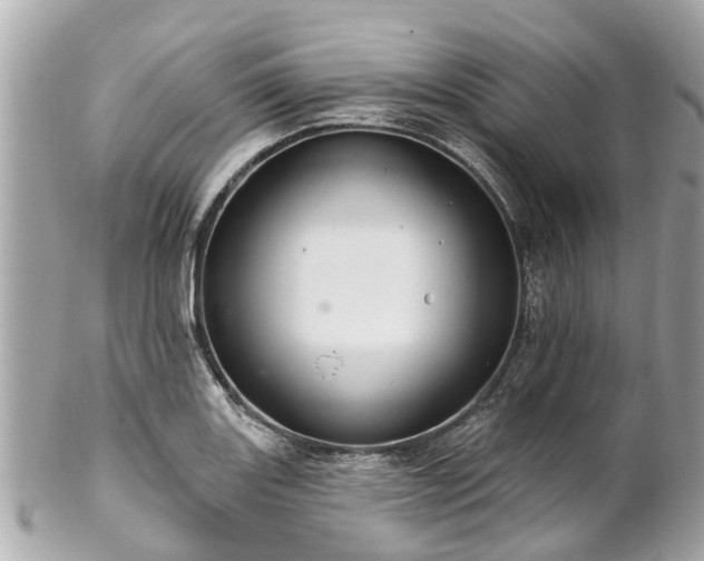 X0000102501131200808151514