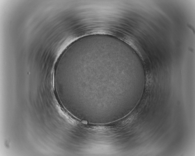 X0000102501132200808151514