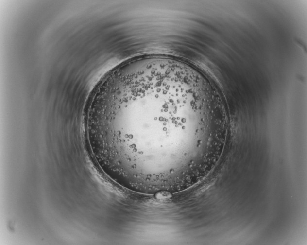 X0000102501133200808151514