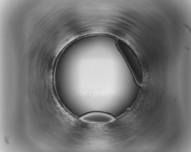 X0000102501134200808151514