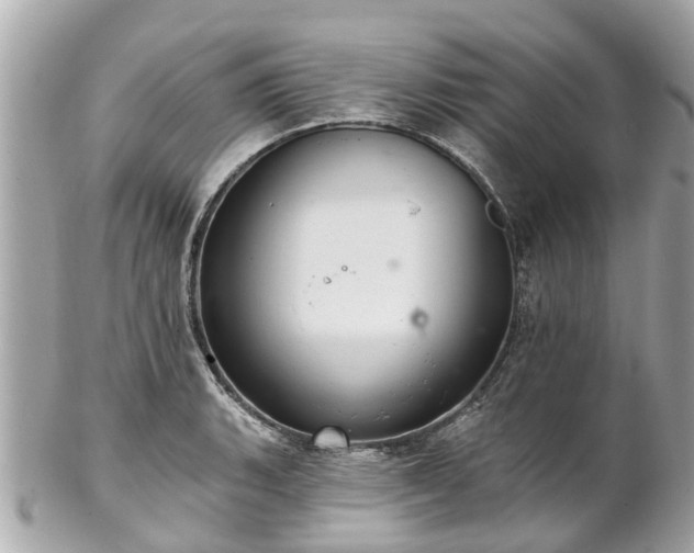 X0000102501135200808151514