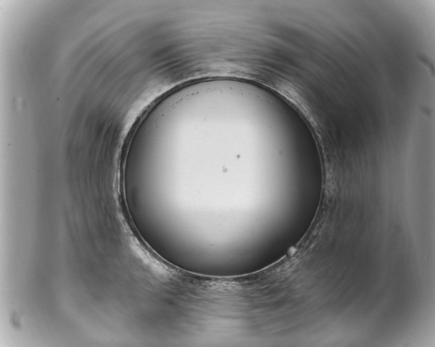 X0000102501136200808151514