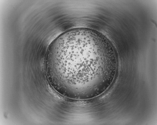 X0000102501137200808151514