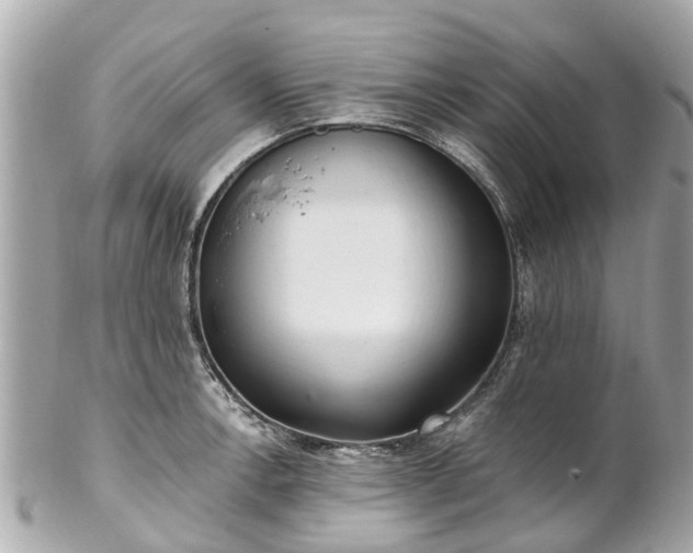 X0000102501138200808151514