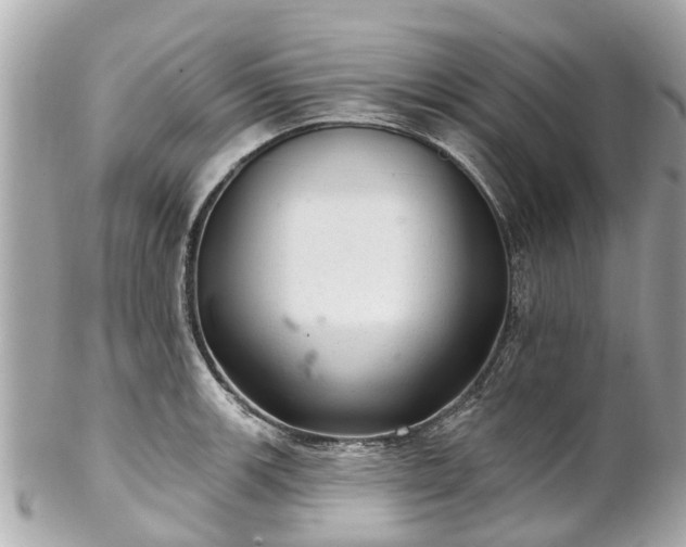 X0000102501139200808151514