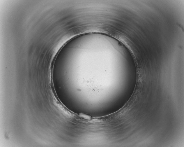 X0000102501140200808151514