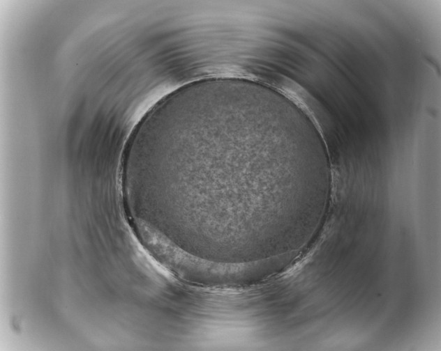 X0000102501141200808151514