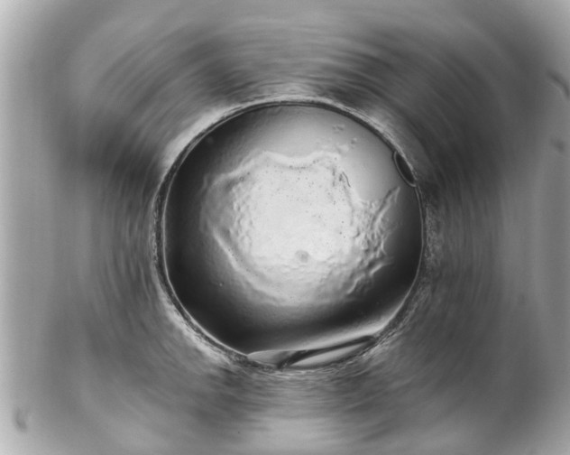 X0000102501142200808151514