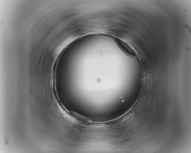 X0000102501143200808151514