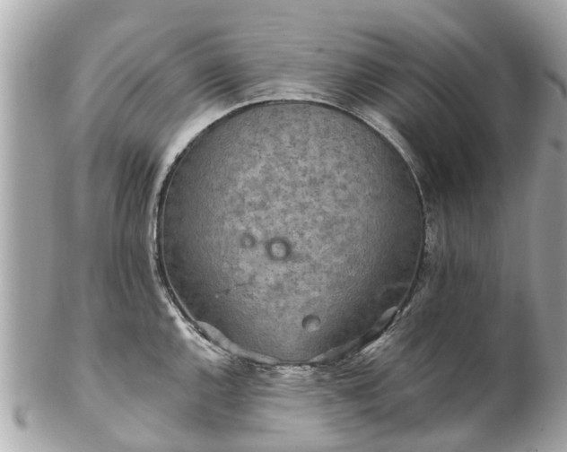 X0000102501144200808151514