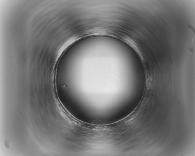 X0000102501146200808151514