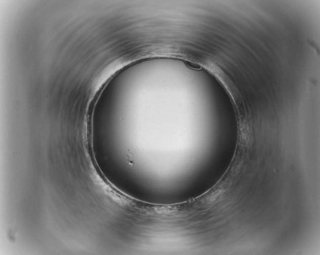 X0000102501147200808151514