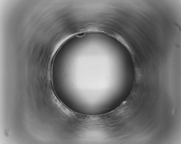 X0000102501148200808151514