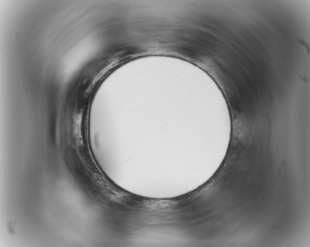 X0000102501150200808151514