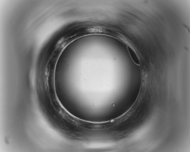 X0000102501151200808151514