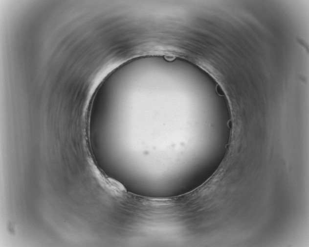 X0000102501152200808151514