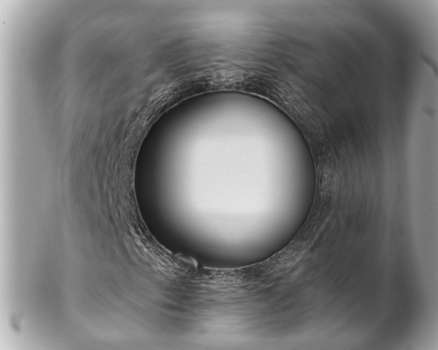 X0000102501153200808151514