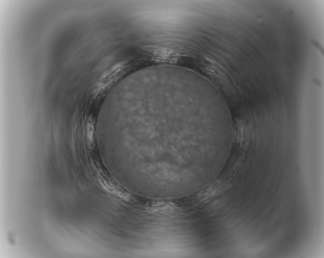 X0000102501154200808151514