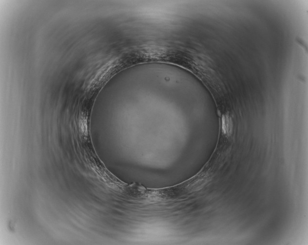 X0000102501155200808151514