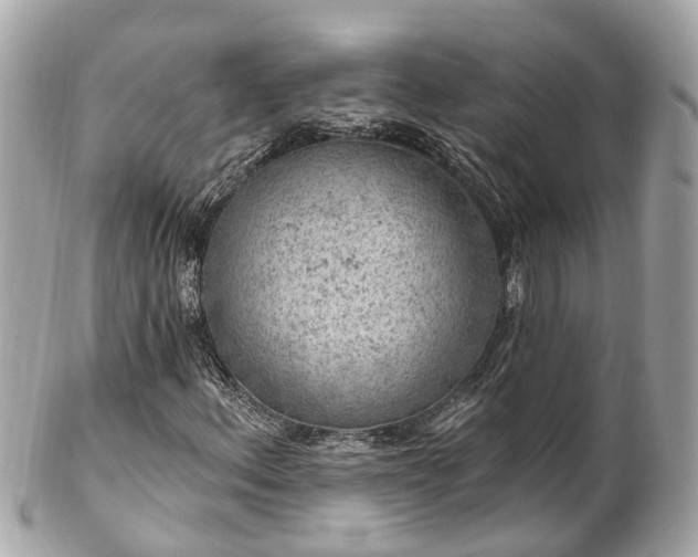 X0000102501156200808151513