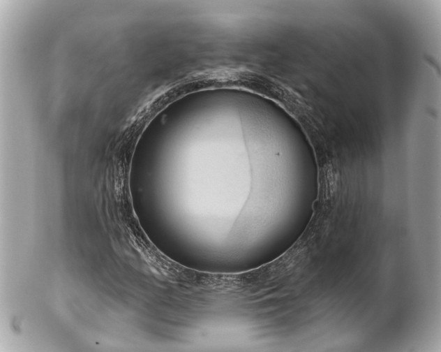 X0000102501158200808151513