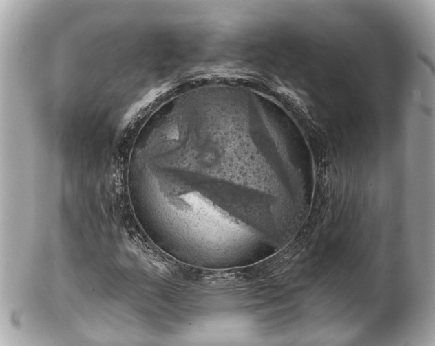 X0000102501159200808151513