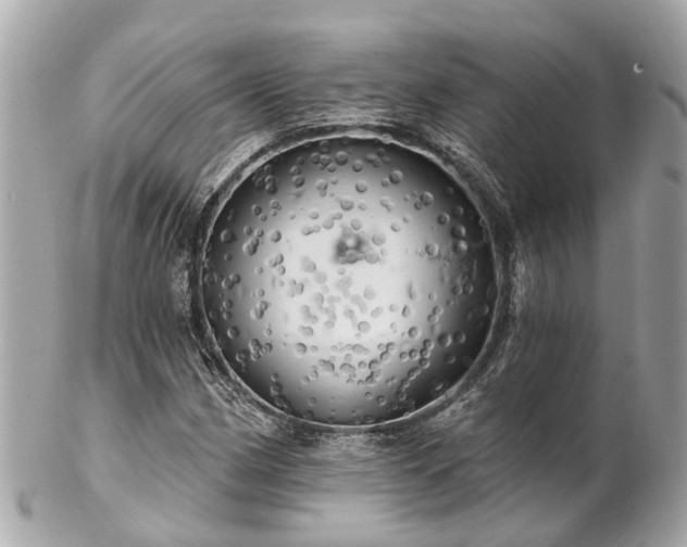 X0000102501162200808151513