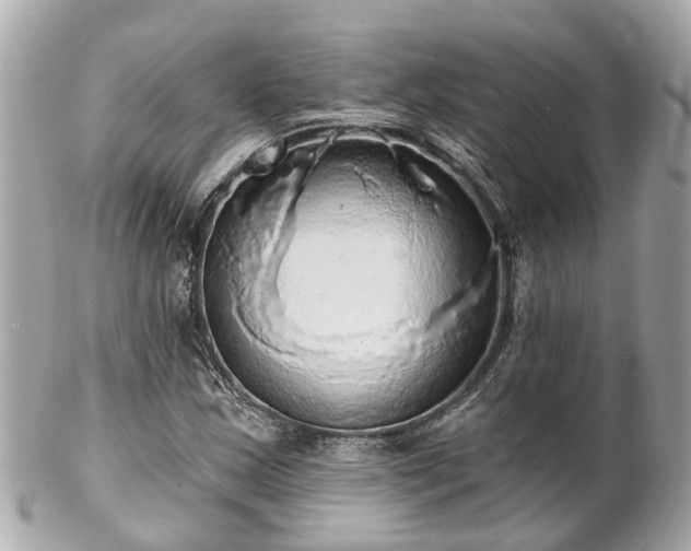 X0000102501163200808151513