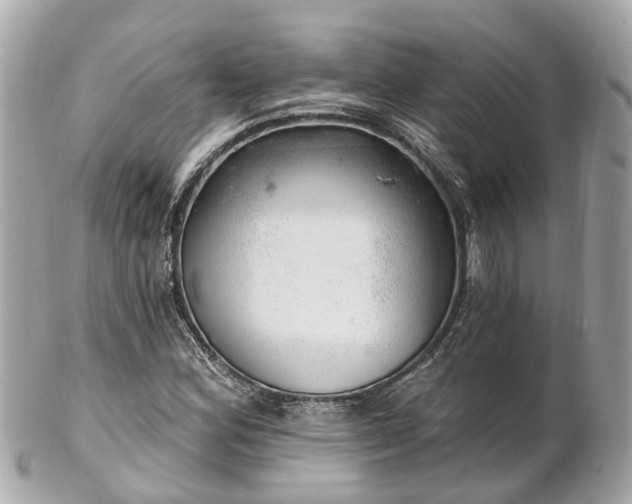 X0000102501164200808151513