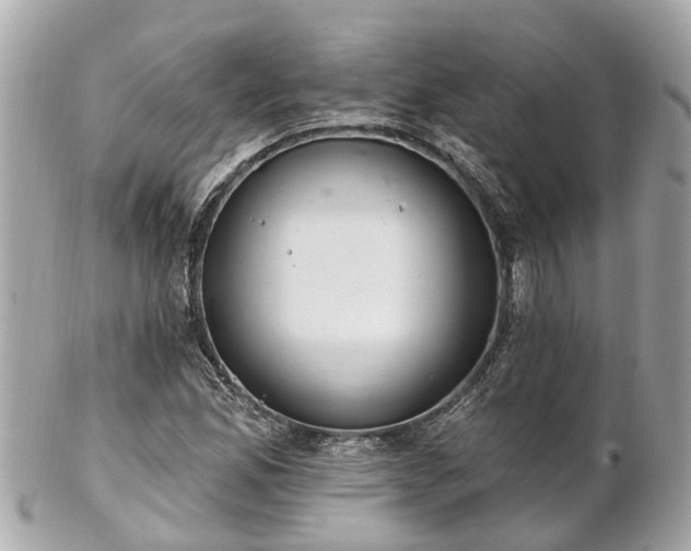 X0000102501165200808151513