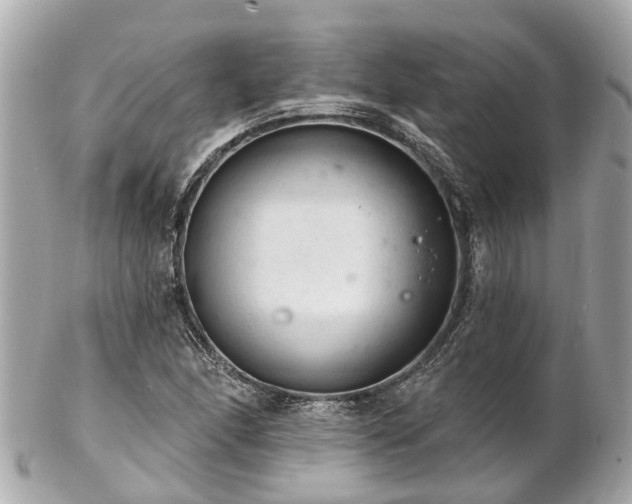 X0000102501166200808151513