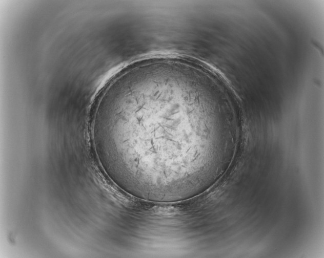 X0000102501168200808151513
