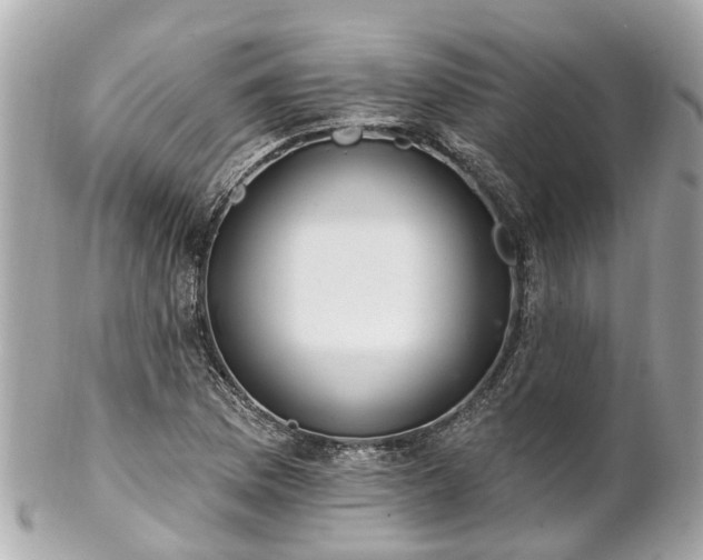 X0000102501169200808151513